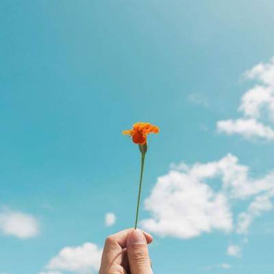 中国银行、工商银行、建设银行、农业银行、民生银行最新公告